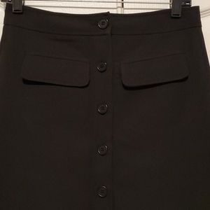 Max Studio A line skirt